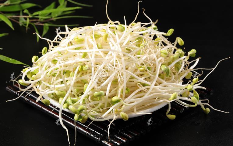 無(wú)公害綠色豆芽，怎么生產(chǎn)出來(lái)的？全套生產(chǎn)過程如此方便智能
